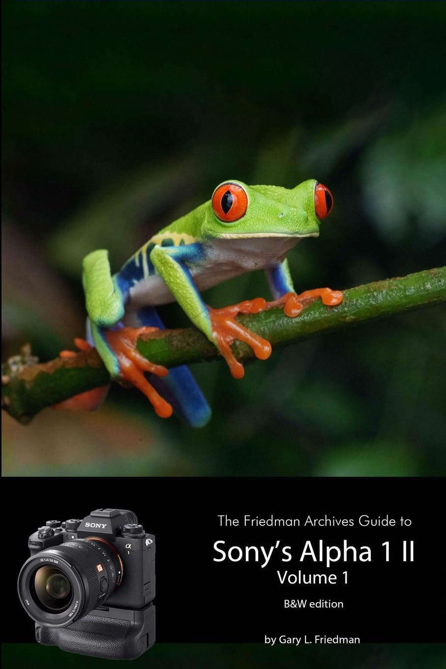 The Friedman Archives Guide to Sony's A1 II - Volume 1 (B&W Edition) Hobbies & Crafts