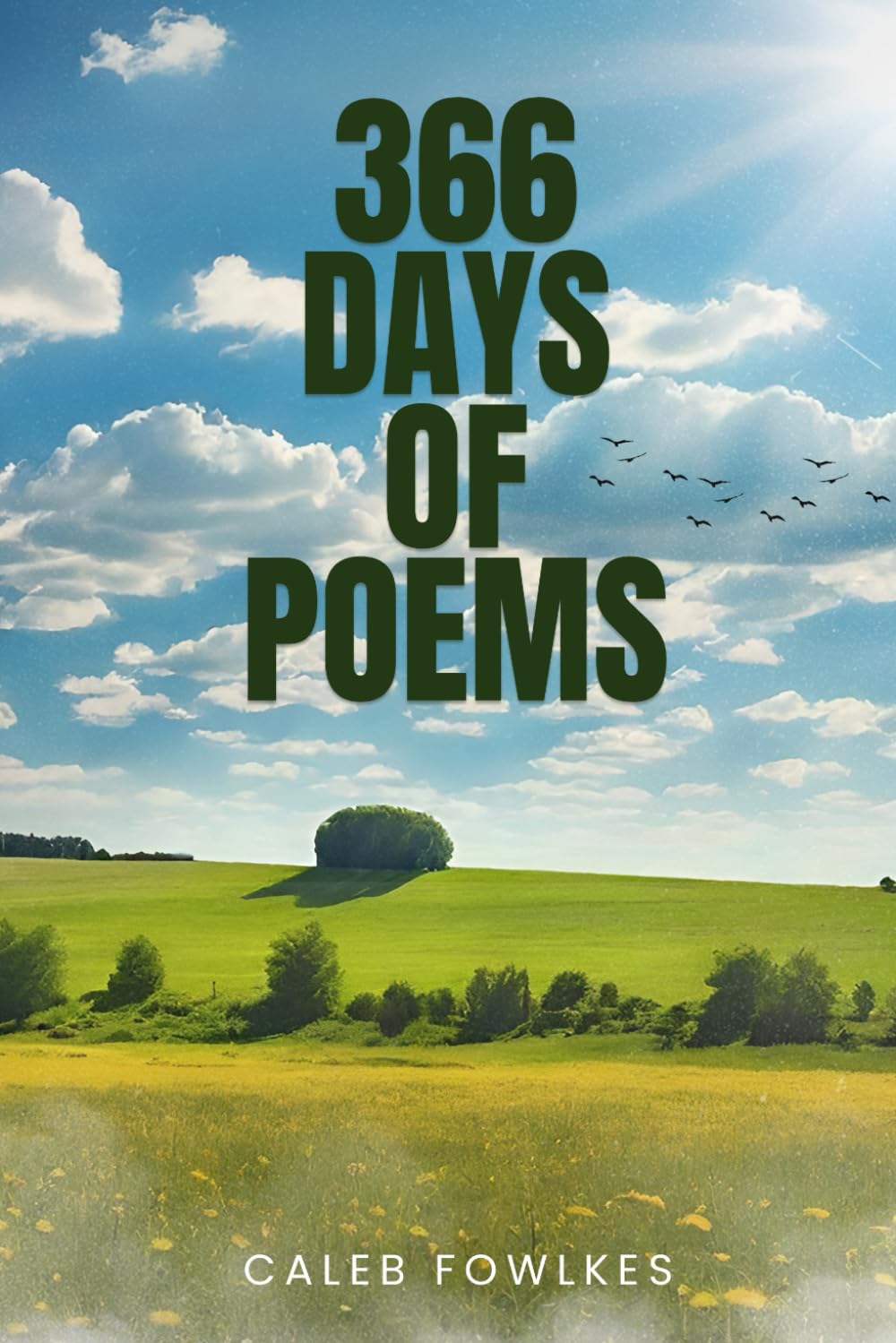 366 days of poems Art & Literature
