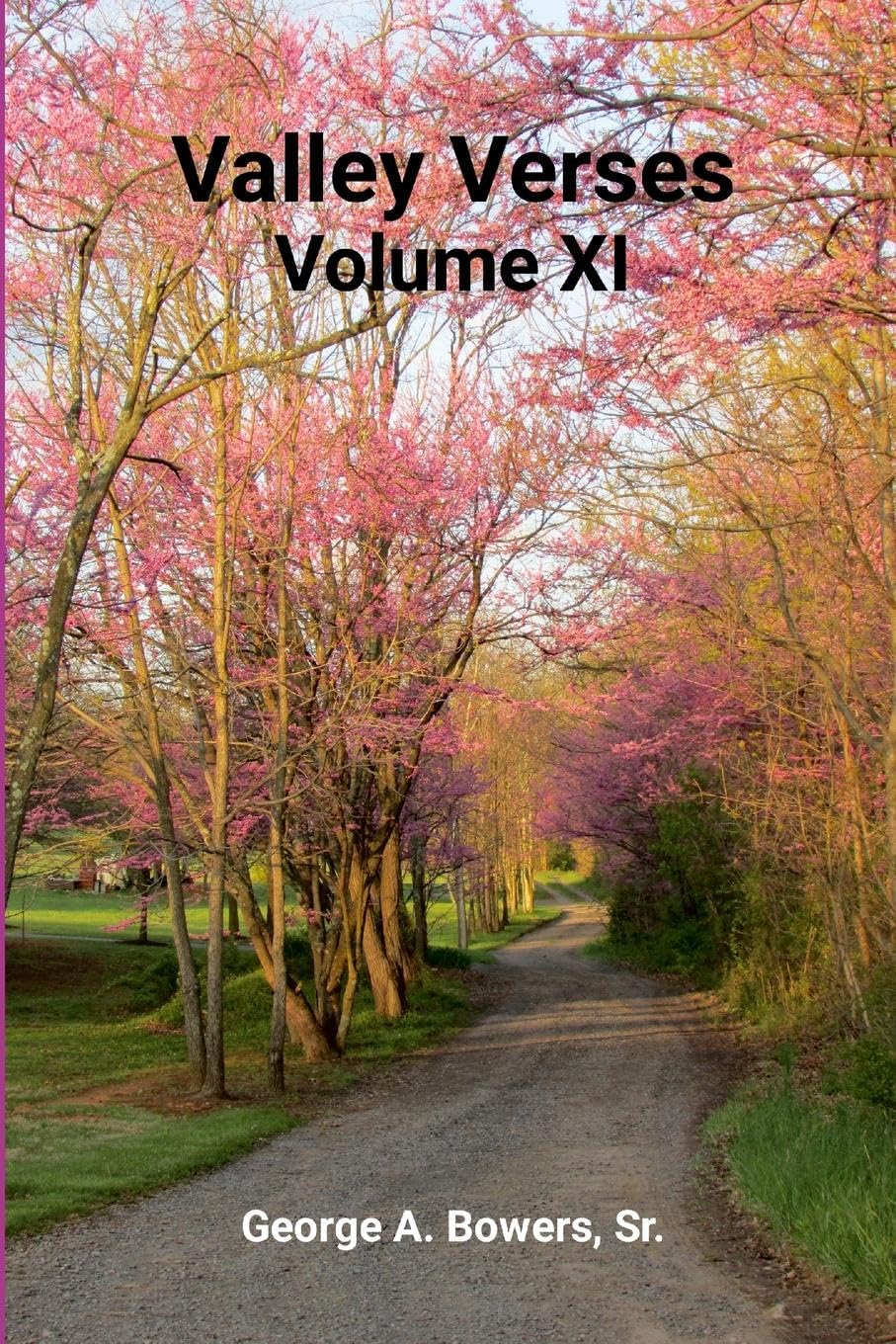 Product Image: Valley Verses Volume XI