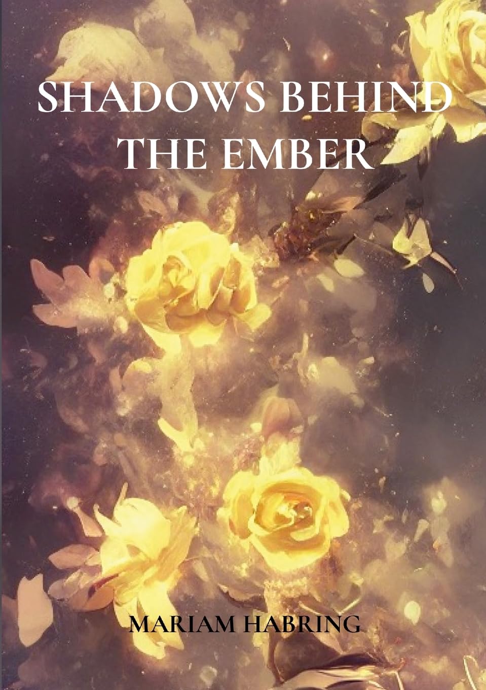 Product Image: Shadows Behind the Ember