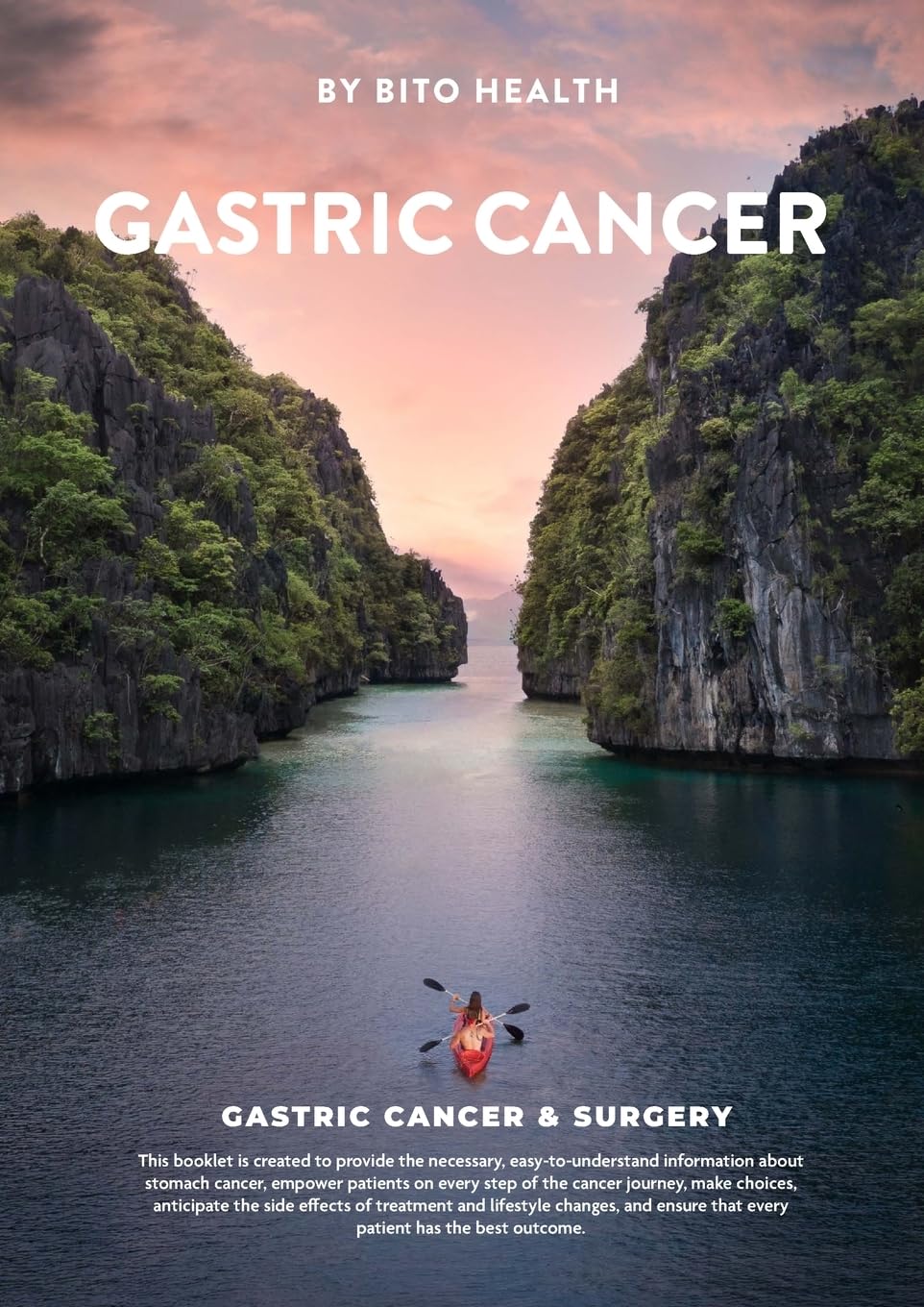 Gastric Cancer Medicine