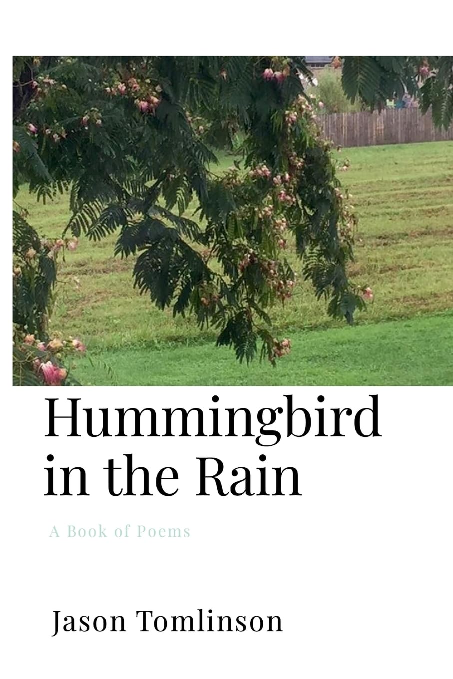 Hummingbird in the Rain Poetry