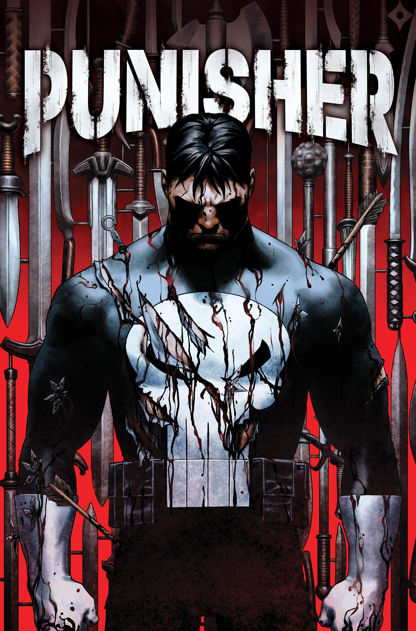 Product Image: Punisher Vol. 1
