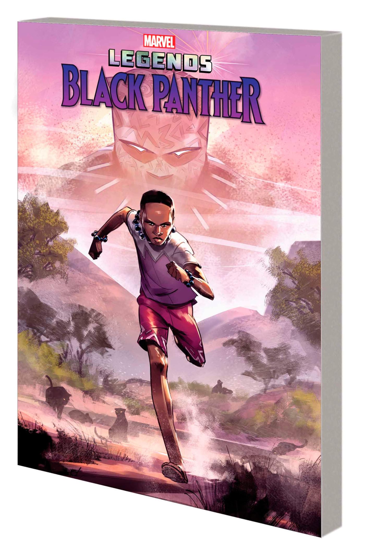 Black Panther Legends Superheroes Books