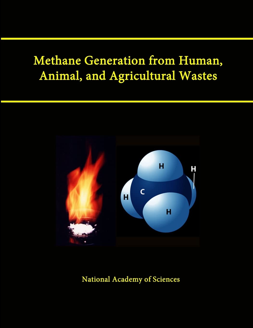 Methane Generation from Human, Animal, and Agricultural Wastes book