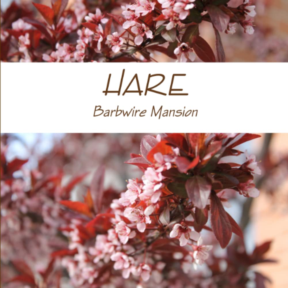 Hare Books