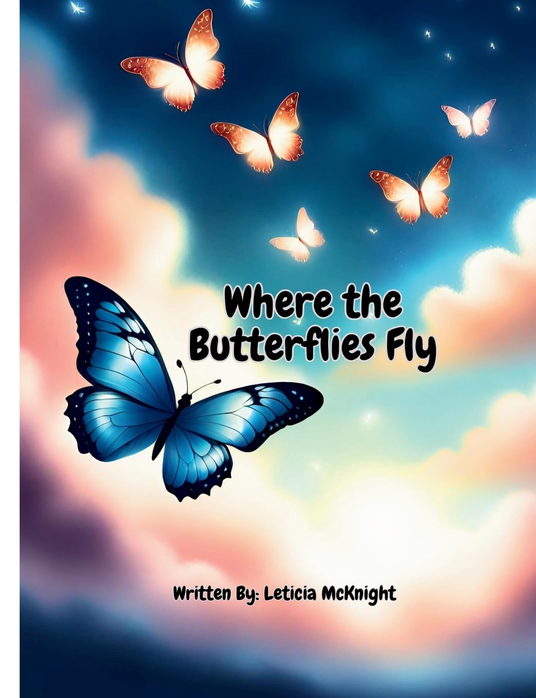Where the Butterflies Fly Paperback Non-fiction