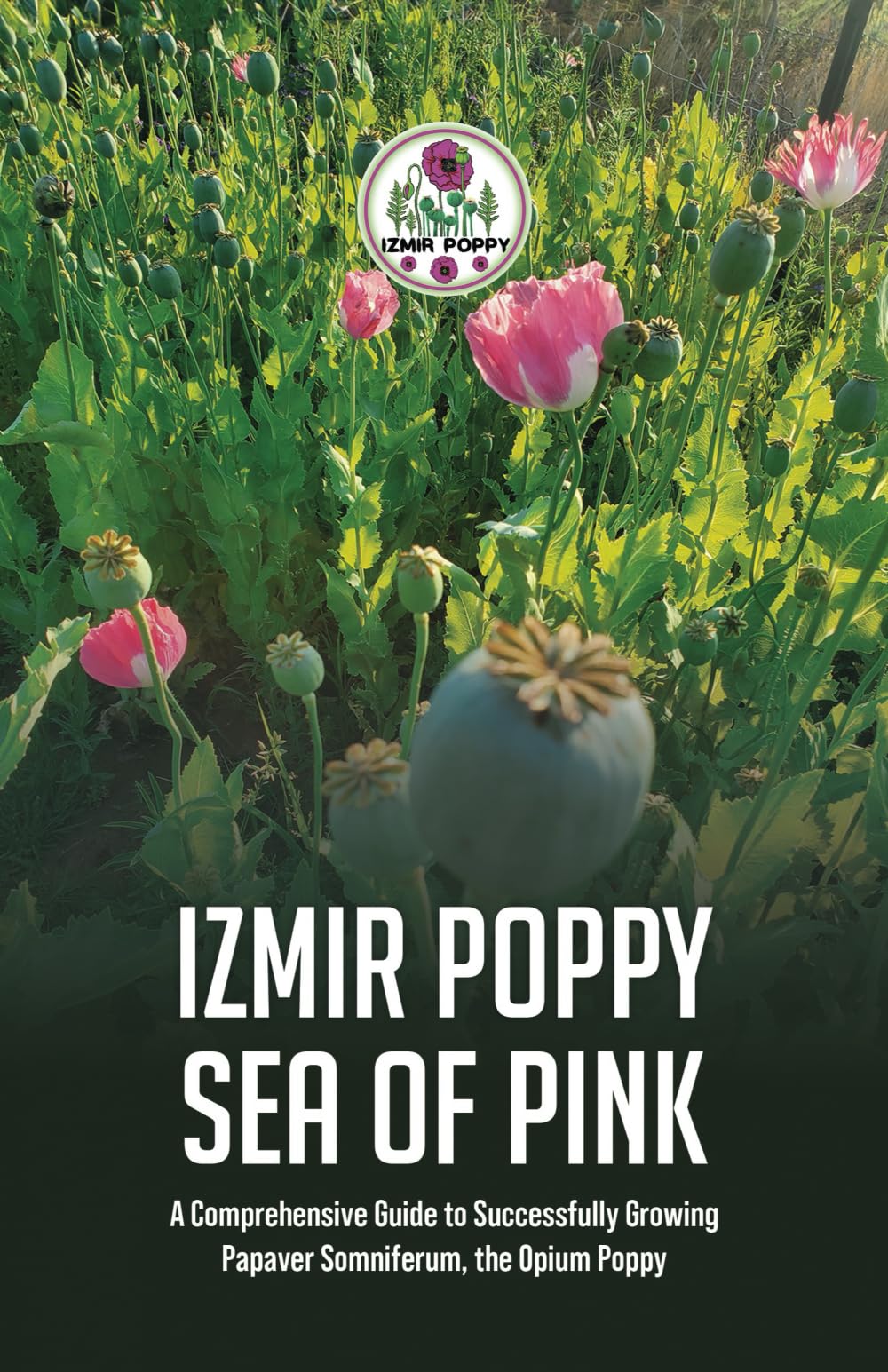 Izmir Poppy Sea of Pink: A Comprehensive Guide to Successfully Growing Papaver somniferum, the Opium Poppy Garden & Plants