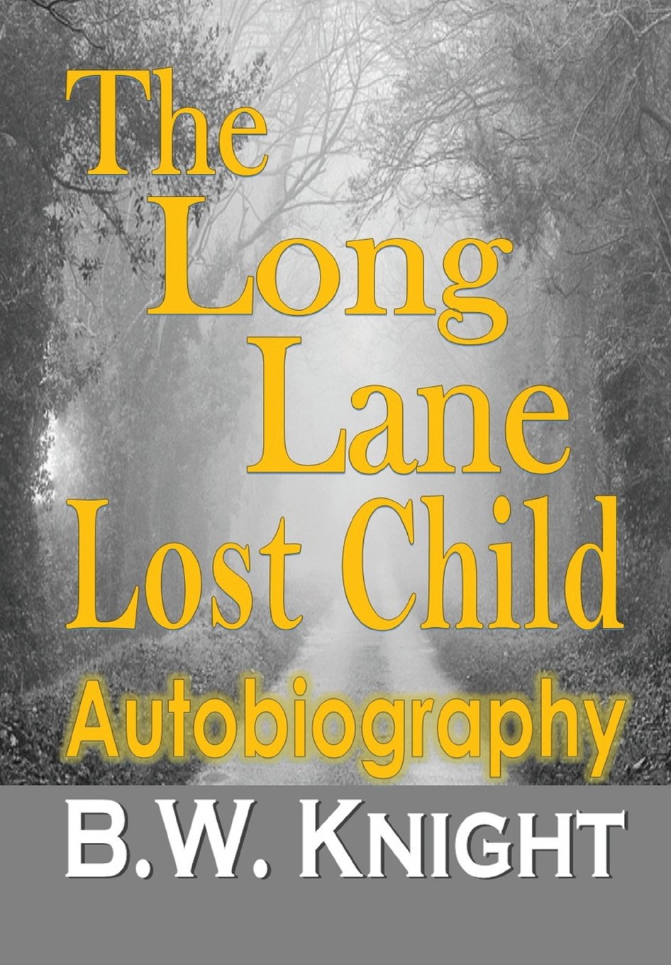 The Long Lane Lost Child (Hardcover) book