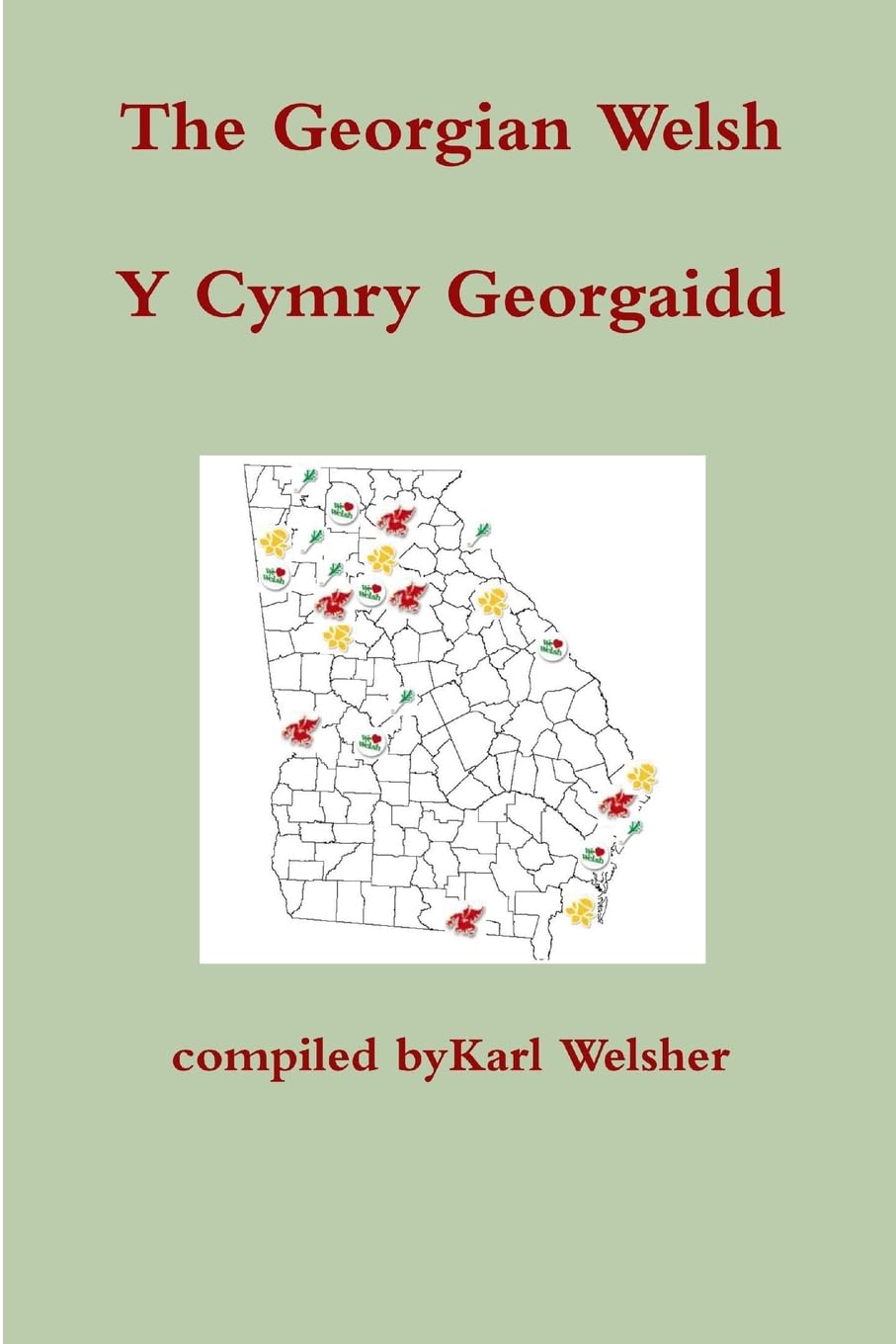 The Welsh in Georgia Politics & History
