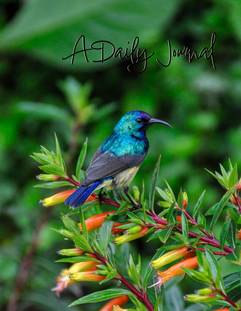 A Daily Journal (Wildlife) Photography