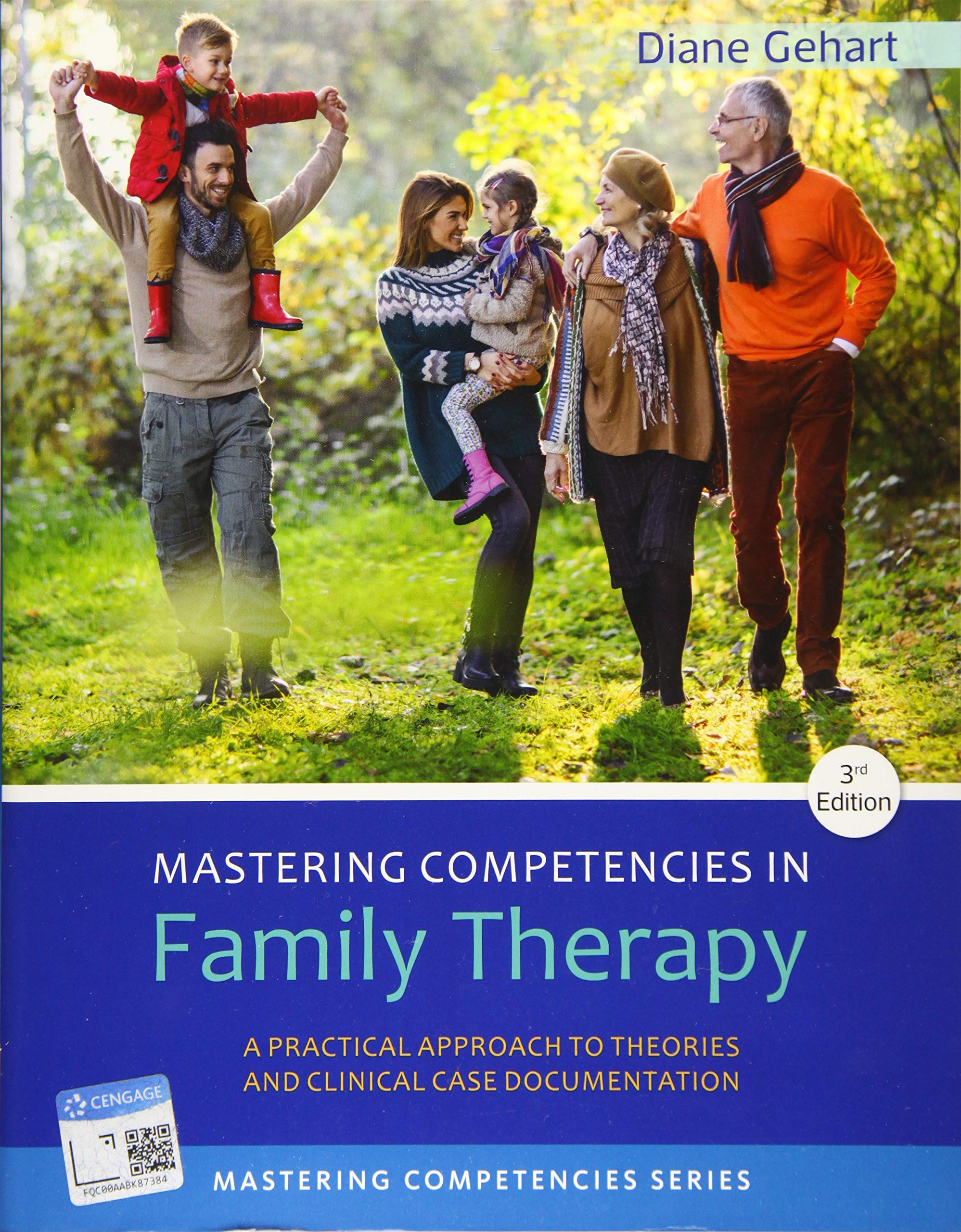 Mastering Competencies in Family Therapy: A Practical Approach to Theories and Clinical Case Documentation Medicine