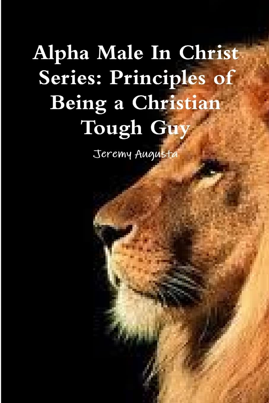 Alpha Male In Christ Series: Principles of Being a Christian Tough Guy Religion & Esotericism