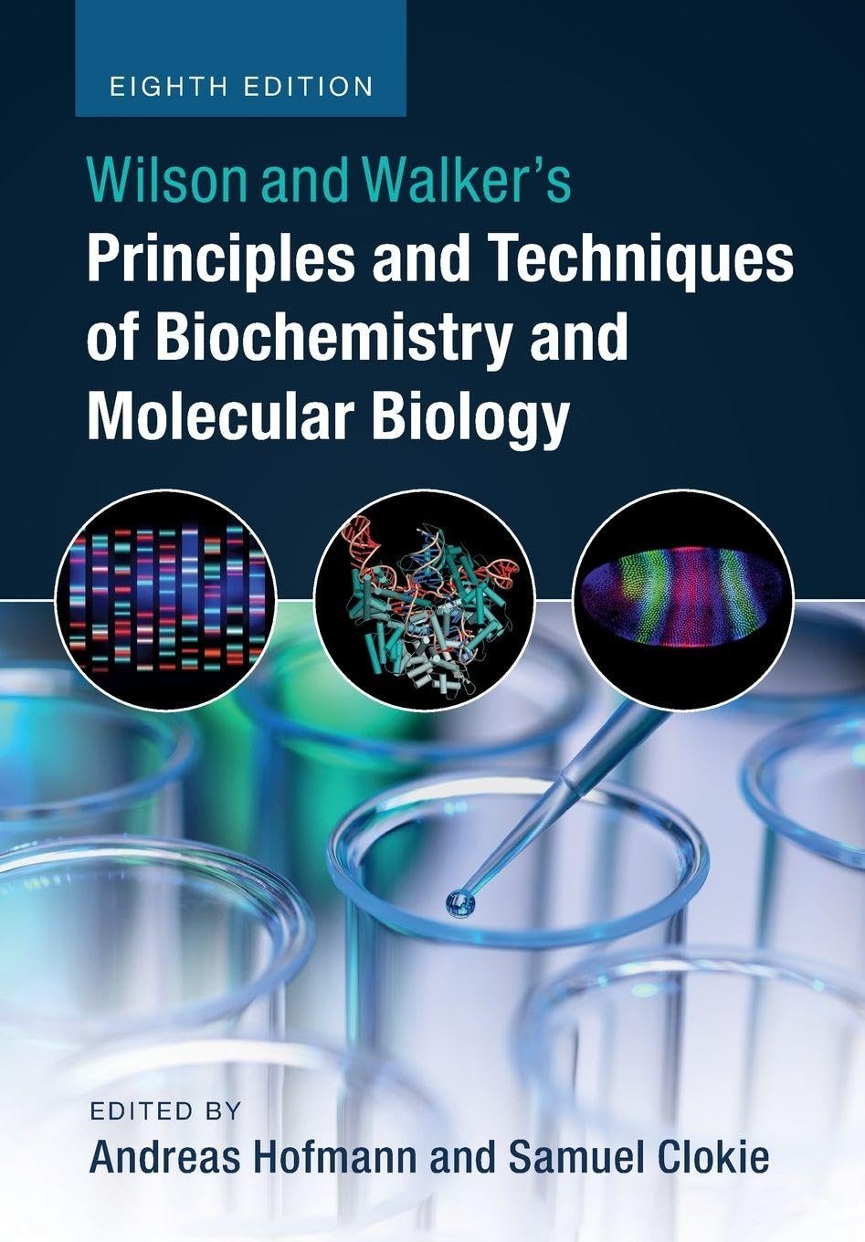 Wilson and Walker's Principles and Techniques of Biochemistry and Molecular Biology Natural Sciences