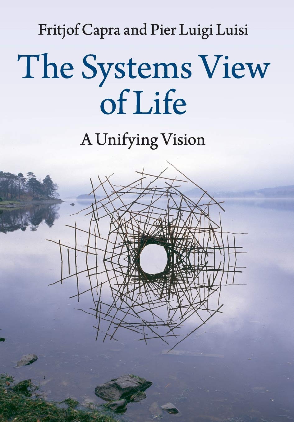 The Systems View of Life: A Unifying Vision Social Sciences