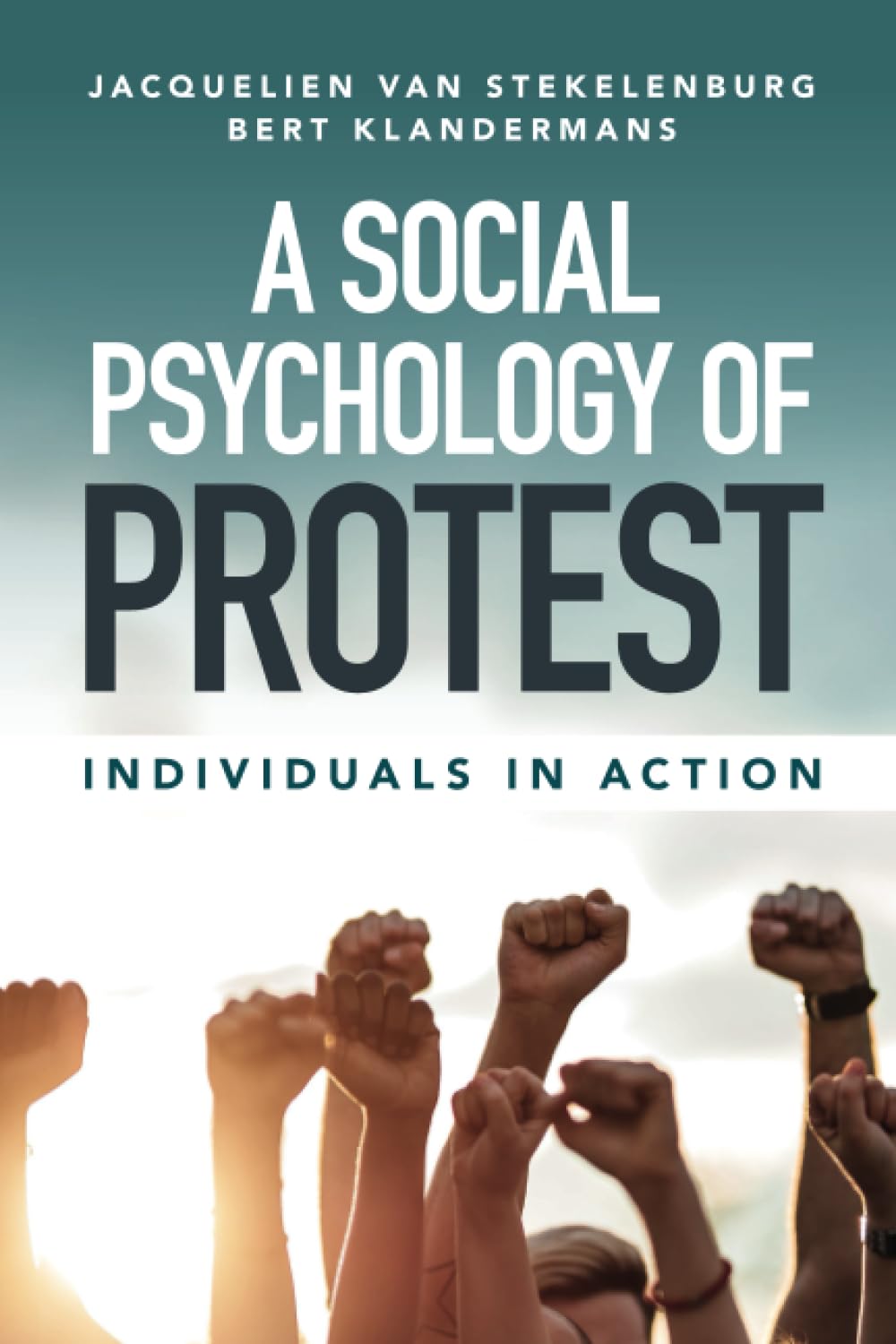 A Social Psychology of Protest: Individuals in Action Books