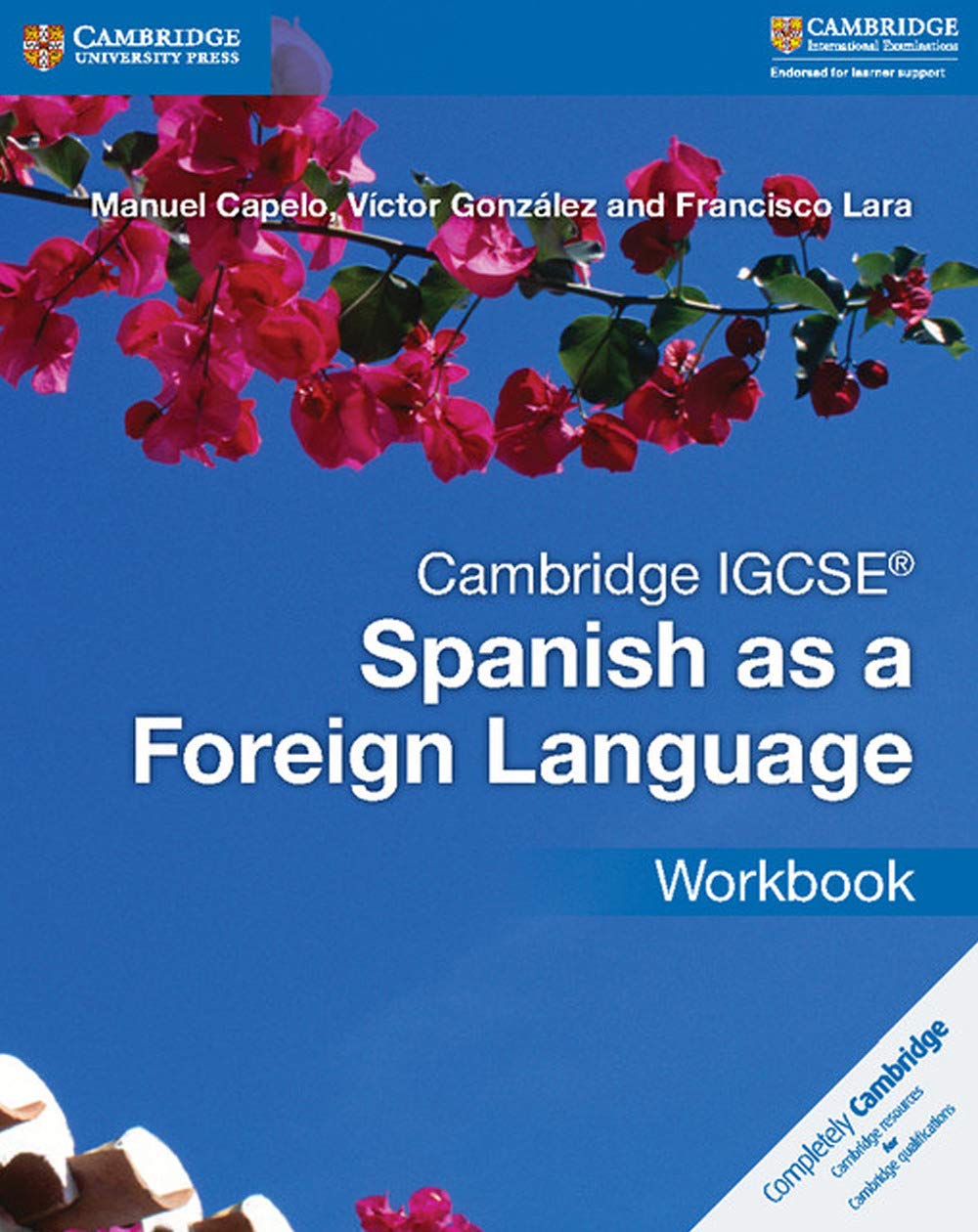 Cambridge IGCSE (R) Spanish as a Foreign Language Workbook (Cambridge International IGCSE) Study Guides