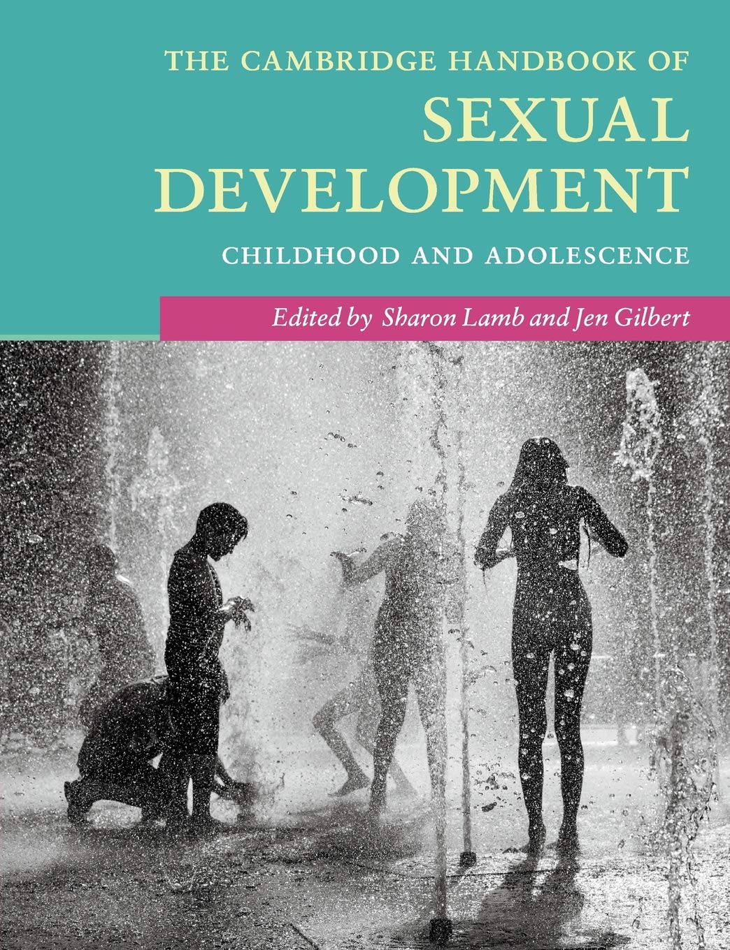 The Cambridge Handbook of Sexual Development: Childhood and Adolescence book
