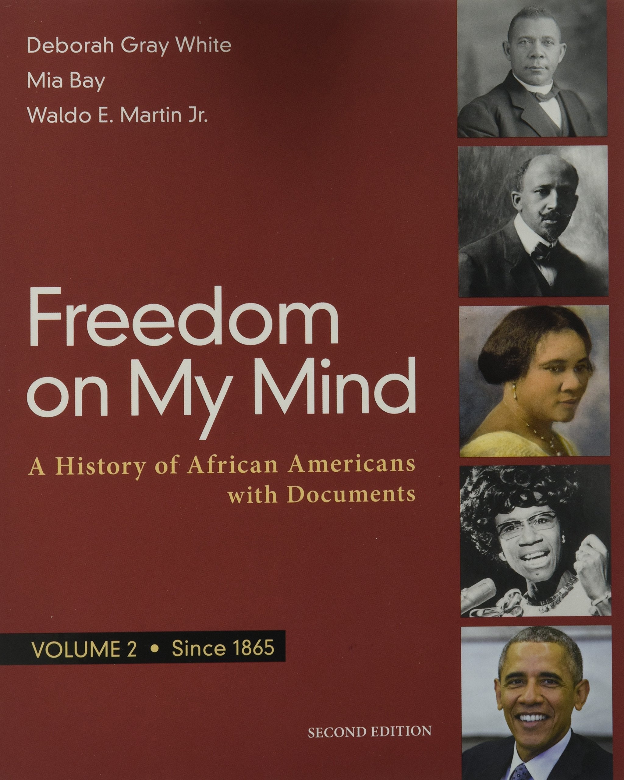 Freedom on My Mind, Volume 2: A History of African Americans, with Documents Social Sciences