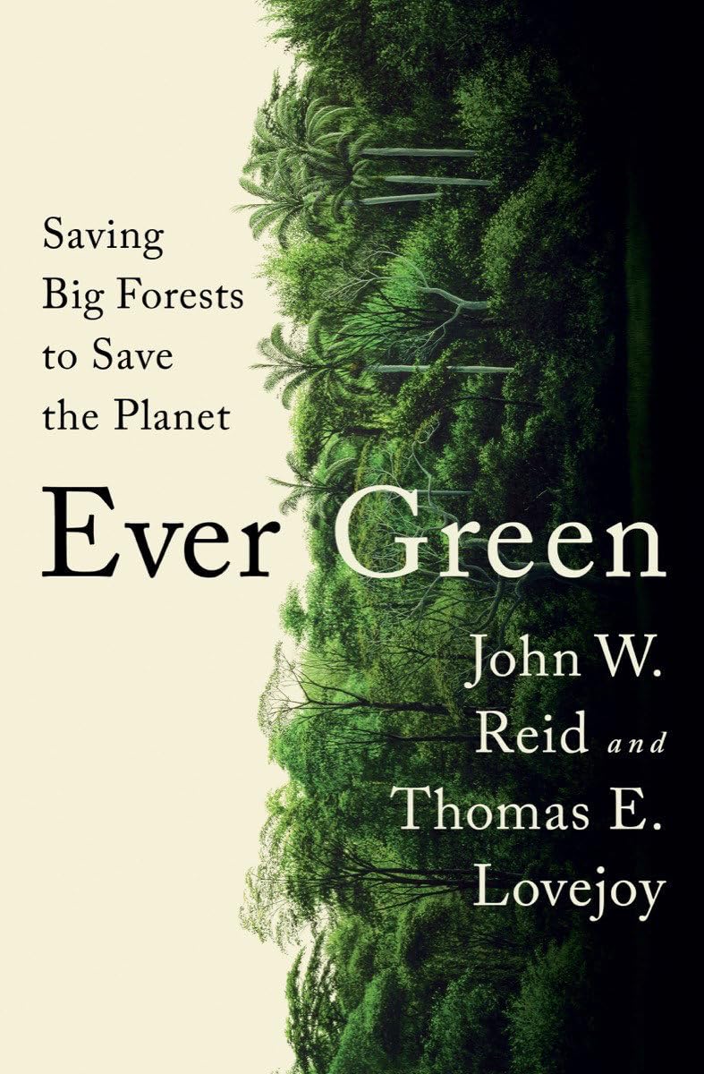 Ever Green: Saving Big Forests to Save the Planet Leisure, Home & Garden