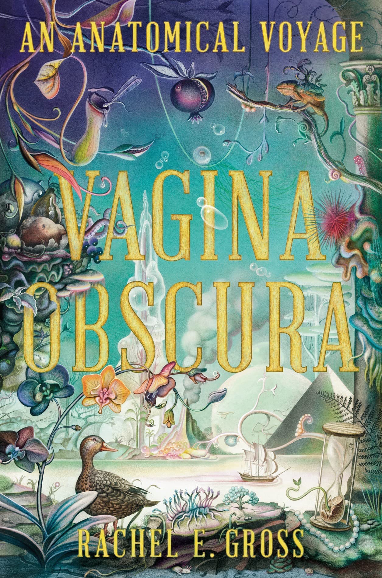 Vagina Obscura - An Anatomical Voyage Medicine