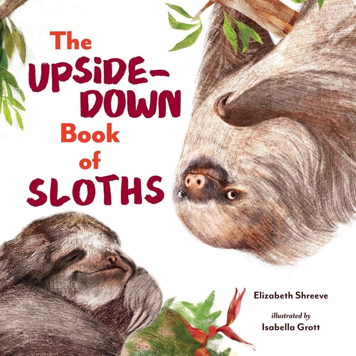 The Upside-Down Book of Sloths Non-fiction