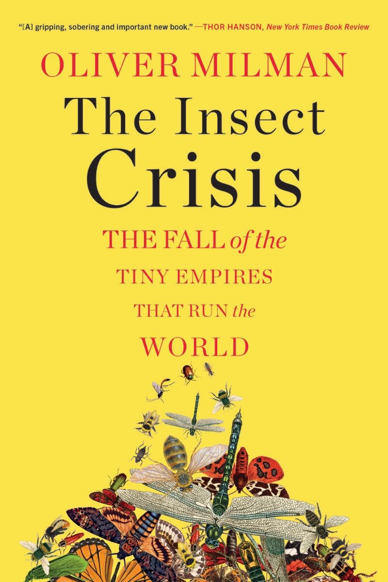 The Insect Crisis: The Fall of the Tiny Empires That Run the World Mathematics