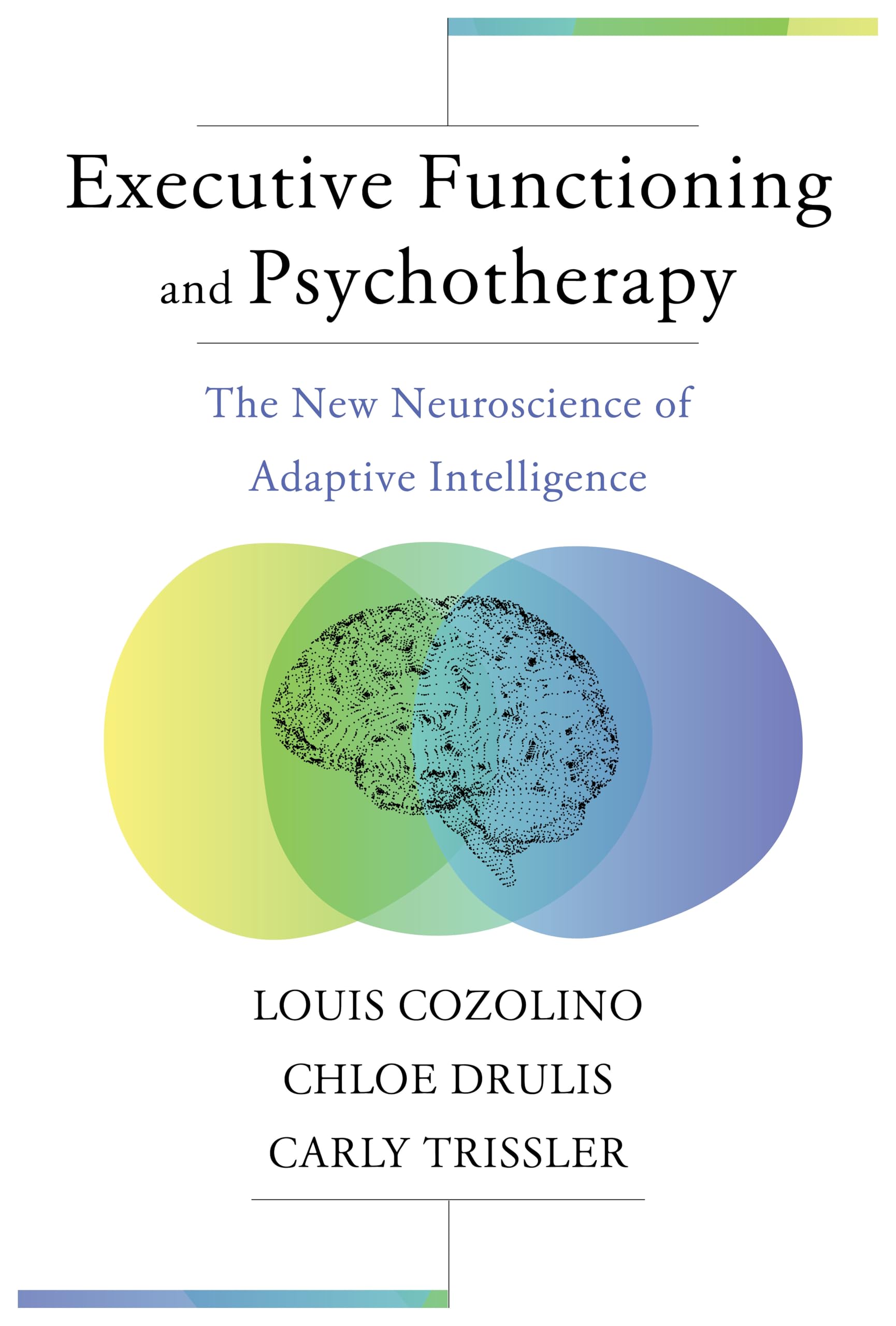 Executive Functioning and Psychotherapy: The New Neuroscience of Adaptive Intelligence (Norton Interpersonal Neurobiology, Band 0) Medicine