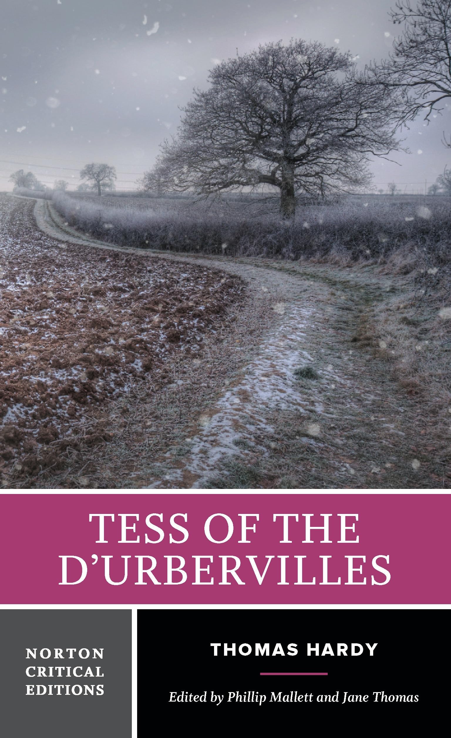 Tess of the D’urbervilles: A Norton Critical Edition (Norton Critical Editions, Band 0) Classics