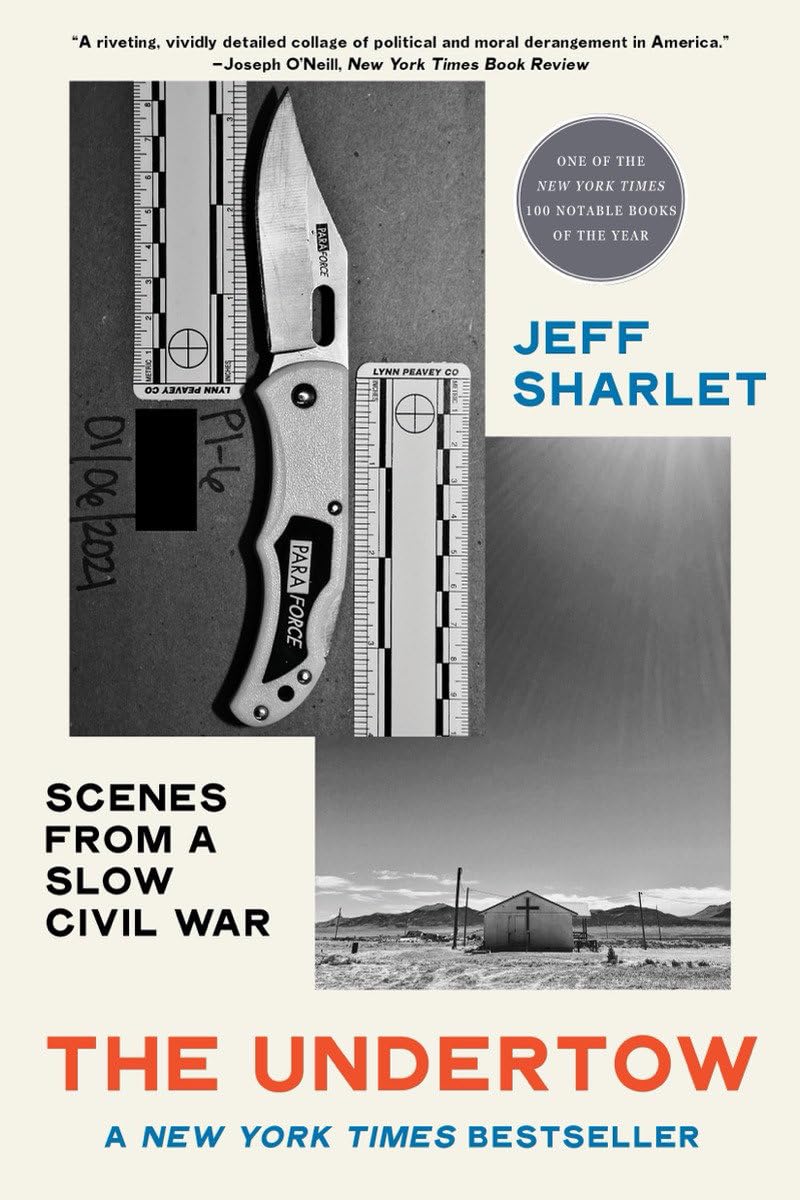 The Undertow: Scenes from a Slow Civil War book
