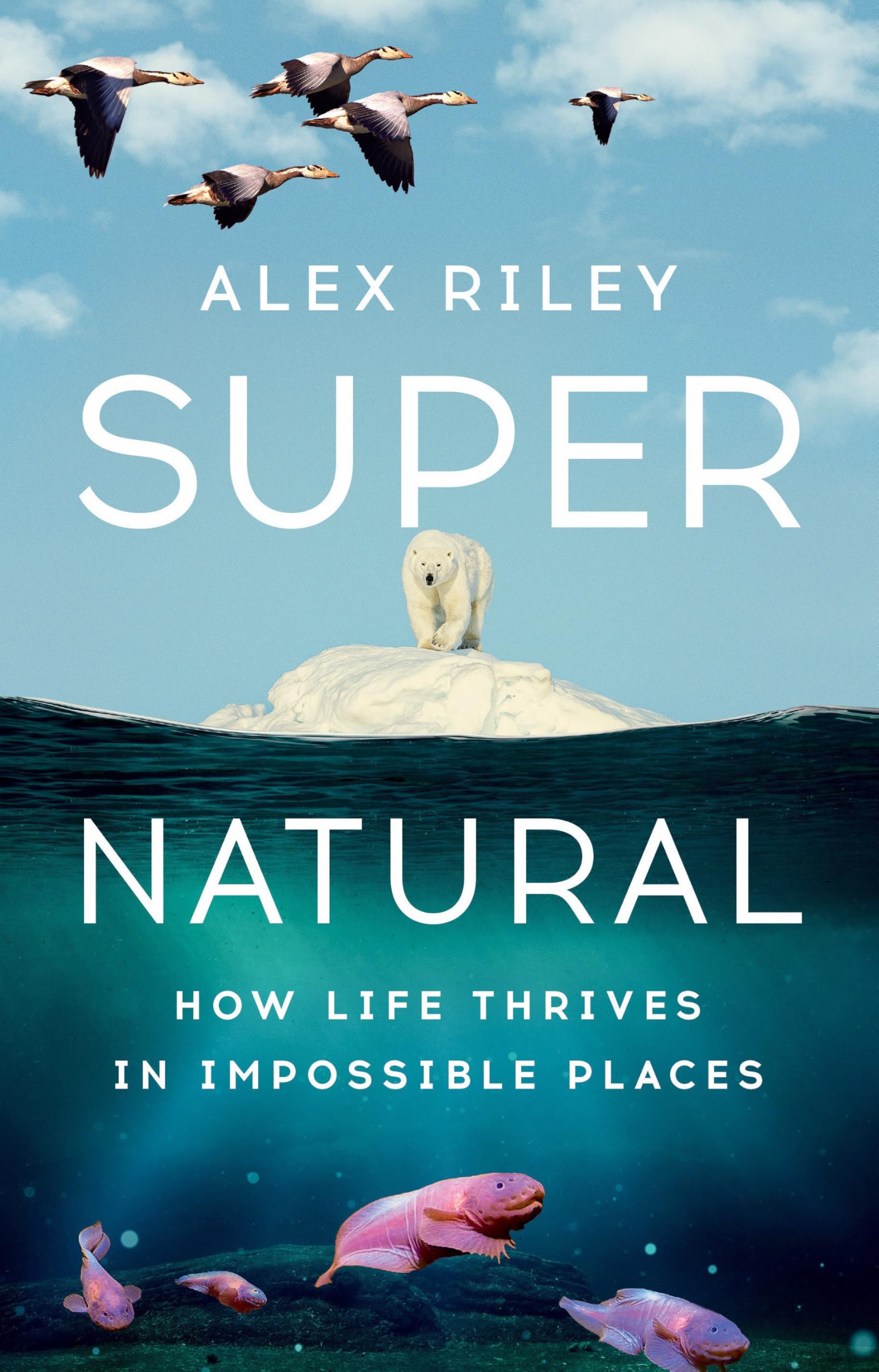 Super Natural: How Life Thrives in Impossible Places Mathematics