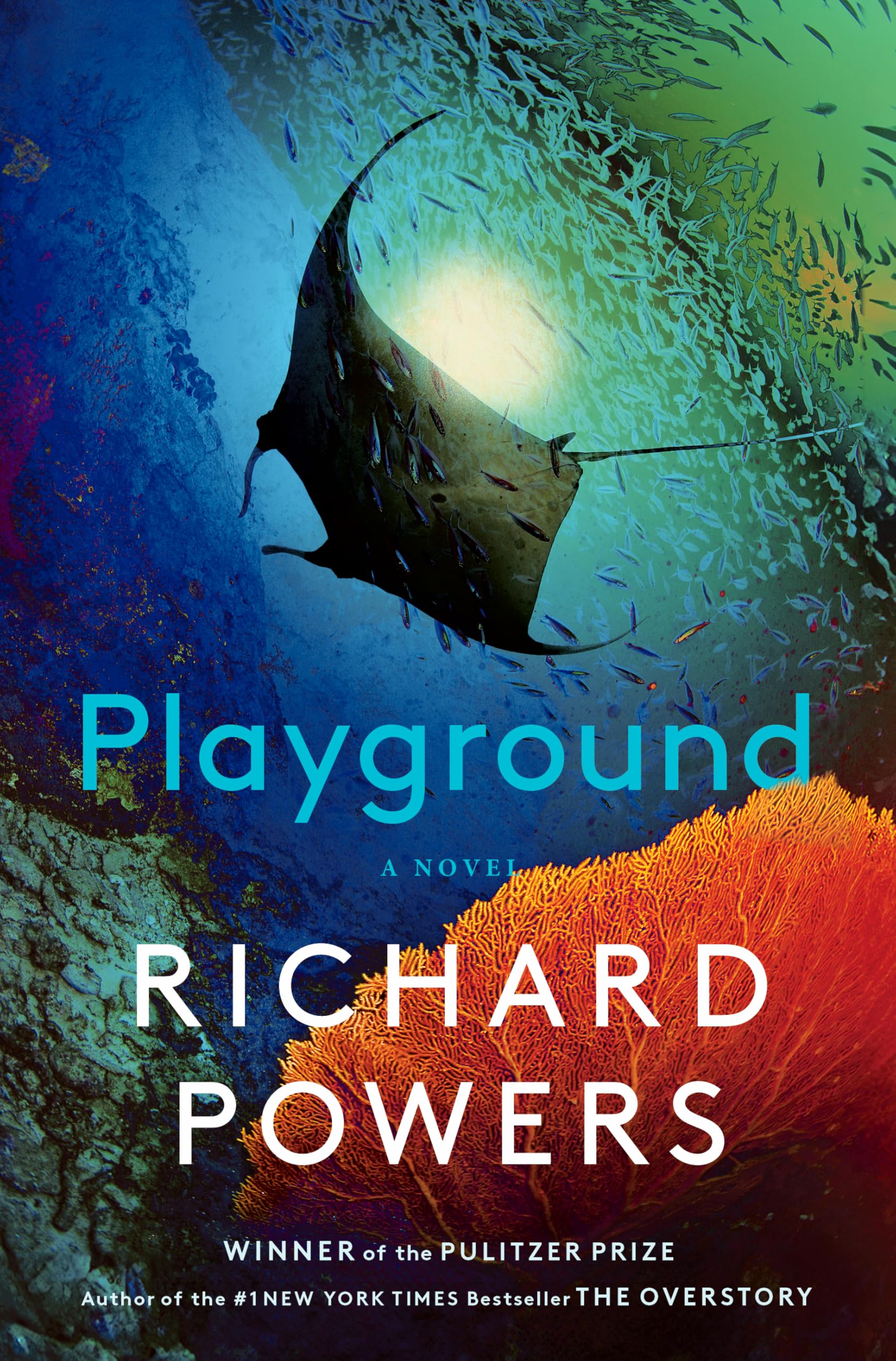 Playground Contemporary literature Books