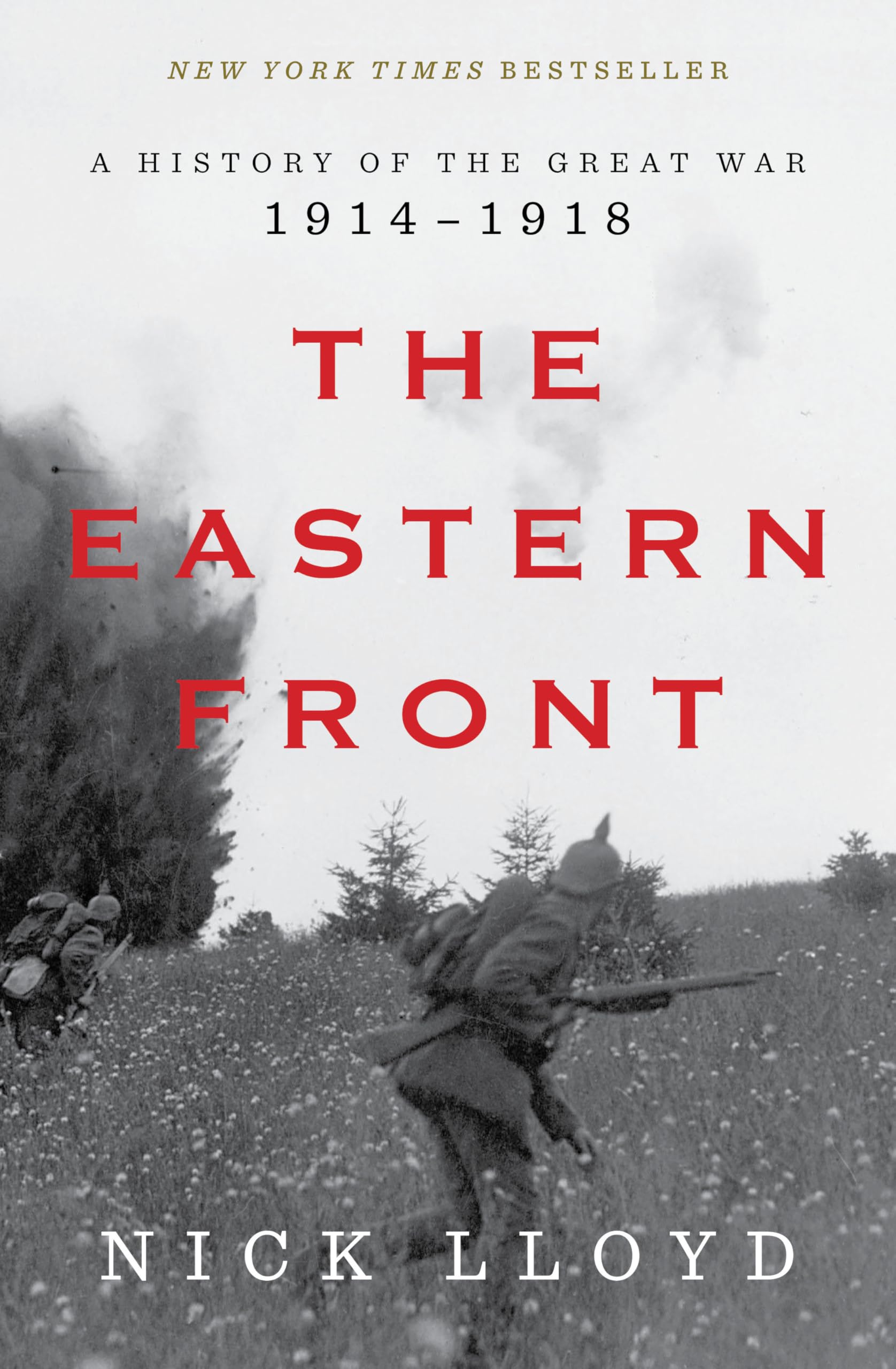 The Eastern Front: A History of the Great War, 1914-1918 Politics & History