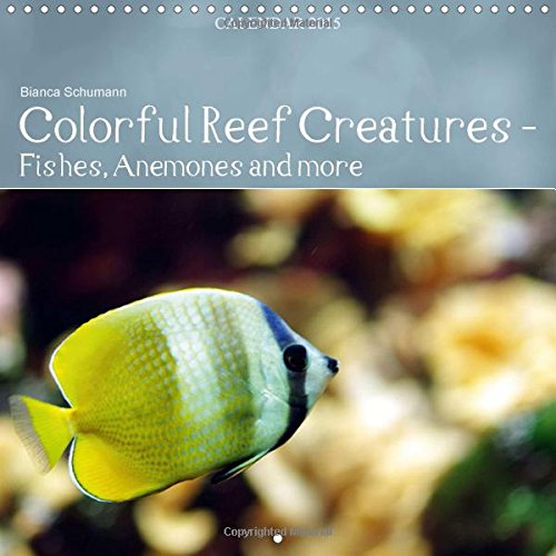Colorful Reef Inhabitants Fishes Ane book