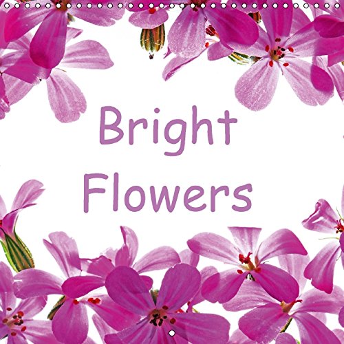 Bright Flowers (Wall Calendar 2015 300 × 300 mm Square): Colorful wildflowers from forest floors and meadows (Monthly calendar, 14 pages) (Calvendo Nature) Garden & Plants