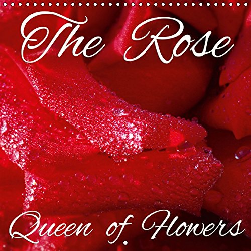 The Rose - Queen of Flowers (Wall Calendar 2015 300 × 300 mm Square): The Rose - Queen of Flowers (Monthly calendar, 14 pages) (Calvendo Nature) Garden & Plants
