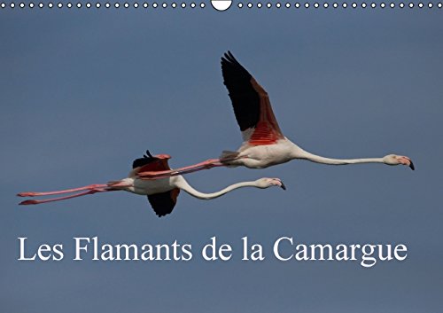 Les Flamants de la Camargue (Calendrier mural 2015 DIN A3 horizontal): Scènes de la vie d'une espèce fascinante. (Calendrier mensuel, 14 Pages) (Calvendo Nature) Books