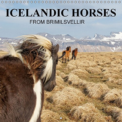 ICELANDIC HORSES from BRIMILSVELLIR (Wall Calendar 2015 300 × 300 mm Square): ICELANDIC HORSES (Monthly calendar, 14 pages) (Calvendo Animals) Film, Art & Culture