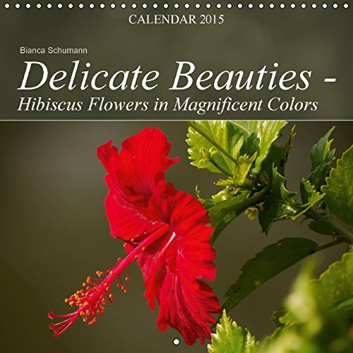 Delicate Beauties - Hibiscus Flowers in Magnificent Colors (Wall Calendar 2015 300 × 300 mm Square): Delicate hibiscus flowers in beautiful ... calendar, 14 pages) (Calvendo Nature) Garden & Plants