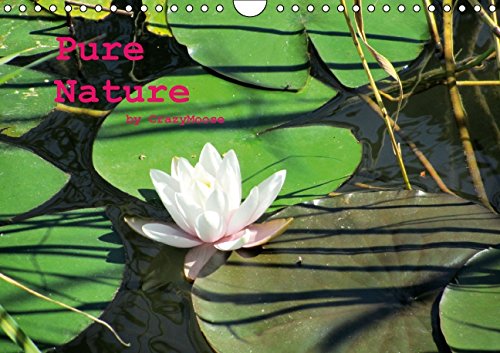 Pure Nature / UK-Version (Wall Calendar 2015 DIN A4 Landscape): The beauty of nature (Monthly calendar, 14 pages) (Calvendo Nature) Leisure, Home & Garden