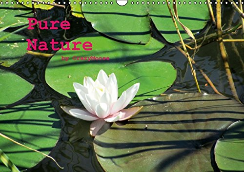Pure Nature / UK-Version (Wall Calendar 2015 DIN A3 Landscape): The beauty of nature (Monthly calendar, 14 pages) (Calvendo Nature) Leisure, Home & Garden