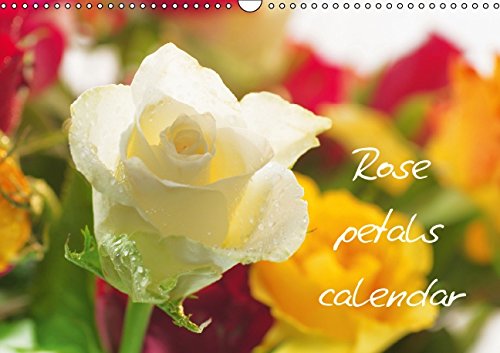 Rose petals calendar Great Britain (Wall Calendar 2015 DIN A3 Landscape): A calendar can be seen in the beauty and variety of roses (Birthday calendar, 14 pages) (Calvendo Nature) Leisure, Home & Garden