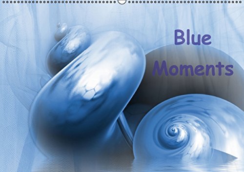 Blue Moments (Wall Calendar 2015 DIN A2 Landscape): Fractal Art (Monthly calendar, 14 pages) (Calvendo Art) Leisure, Home & Garden