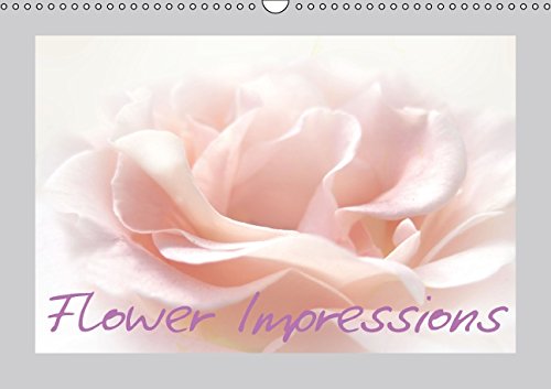 flower Impressions / UK-Version (Wall Calendar 2015 DIN A3 Landscape): floral diversity (Monthly calendar, 14 pages) (Calvendo Nature) Leisure, Home & Garden