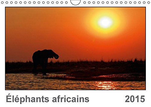 Éléphants africains (FR-Version) (Calendrier mural 2015 DIN A4 horizontal): Des prises fascinantes des éléphants africains (Calendrier mensuel, 14 Pages) (Calvendo Animaux) Garden & Plants
