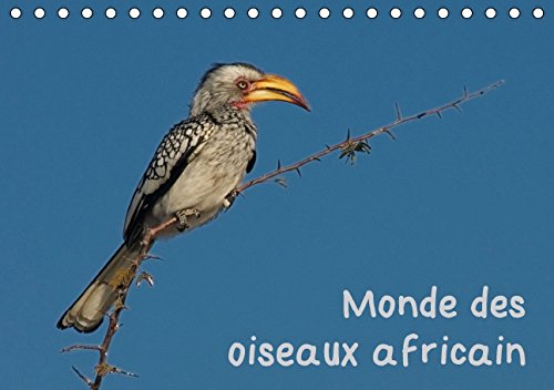 Monde des oiseaux africain (Calendrier chevalet 2015 DIN A5 horizontal): Des portraits d'oiseau fascinant de l'Afrique du sud (Calendrier mensuel, 14 Pages) (Calvendo Animaux) Garden & Plants