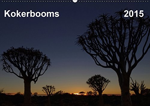 Kokerbooms (FR-Version) (Calendrier mural 2015 DIN A2 horizontal): Des Impressions d'un forêt de kokerboom à Keetmanshoop et du Canyon de la Fish River (Calendrier mensuel, 14 Pages) (Calvendo Places) Garden & Plants