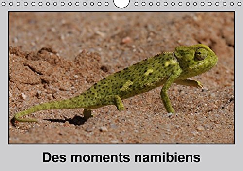 Des moments namibiens / FR-Version (Calendrier mural 2015 DIN A4 horizontal): Le désert rencontre l'eau - des paysages surprenants et des portraits ... mensuel, 14 Pages) (Calvendo Nature) Garden & Plants