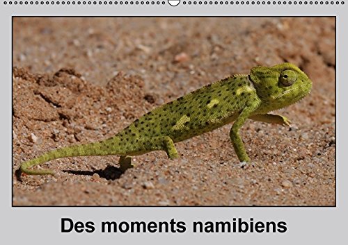 Des moments namibiens / FR-Version (Calendrier mural 2015 DIN A2 horizontal): Le désert rencontre l'eau - des paysages surprenants et des portraits ... mensuel, 14 Pages) (Calvendo Nature) Garden & Plants