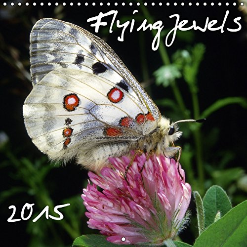 Flying Jewels (Wall Calendar 2015 300 × 300 mm Square): European Butterflies (Monthly calendar, 14 pages) (Calvendo Animals) Books